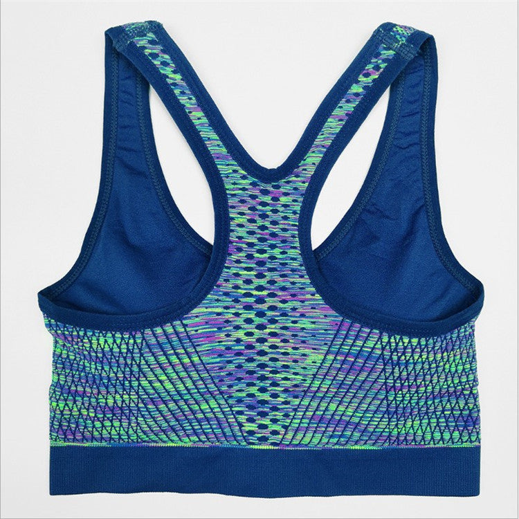 Segment dye zip bra